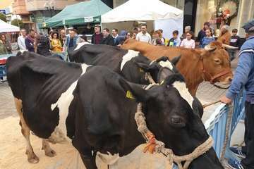 Los Llanos celebra el día grande de sus fiestas (Foto TA)